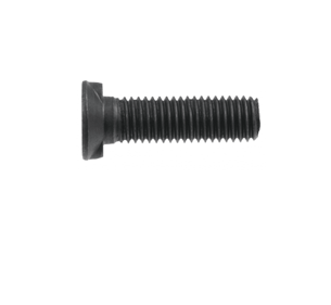 D11014/SLOTBOUT MET 2 NOKKEN EN MOER-PLVK/ST-8.8-ELVZ/M-10X30