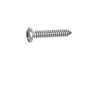 ISO14585CT~D7981CT/PLAATSCHROEF P#C-TORX-PANH/RVS-A2/T15-3,5X25