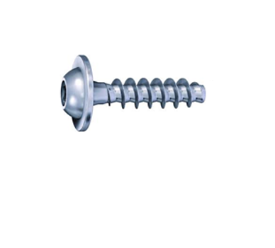 A74334/DRAADVORMENDE SCHROEF PT 30&deg;-TORX-LBKFL/ST-COATED/T20-5X10+flZn_1000hWR
