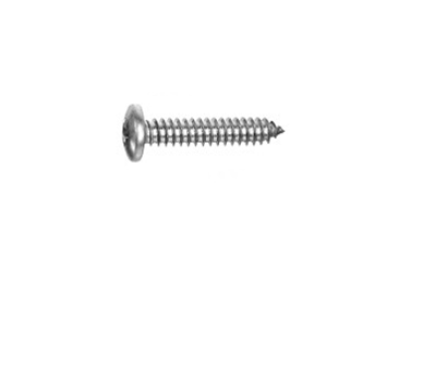~ISO14585CT-D7981CT/PLAATSCHROEF P#C-TORX-PANH/RVS-A2/2,9X9,5