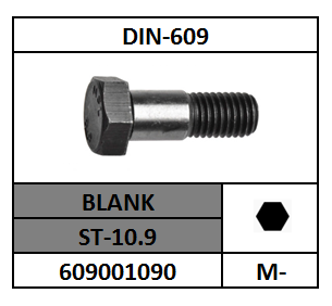 D609/ZESKANTPASBOUT-LANGE TAP/ST-10.9-BLANK/M-8X25