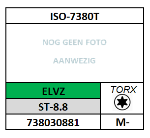 ~ISO7380_1T/LAGE BOLKOPSCHROEF-TORX/ST-8.8-ELVZ/T10_M-3X6